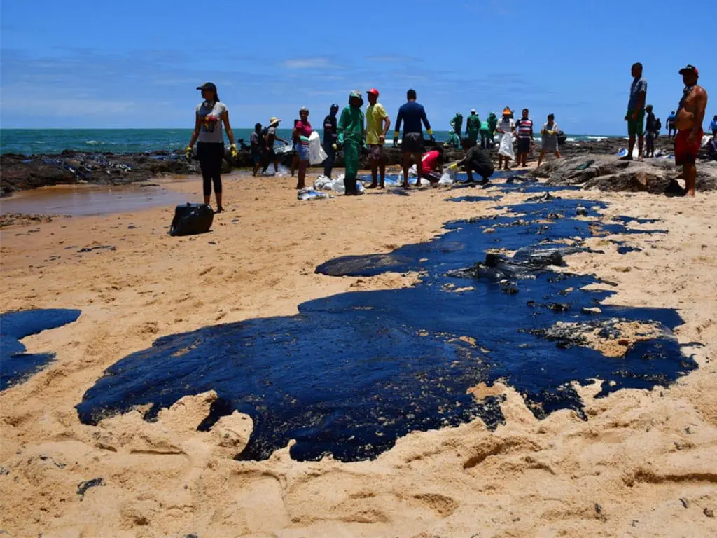 Technologies Innovantes pour la Gestion des Déversements d'Hydrocarbures sur Terre
