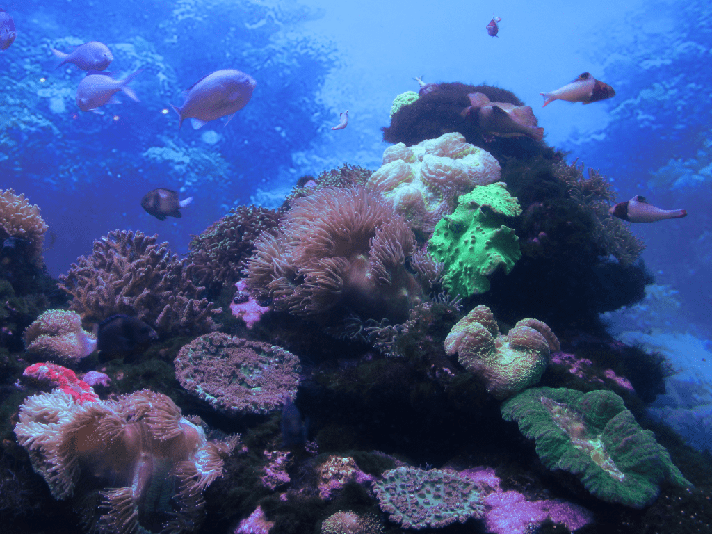 Comment une marée noire affecte-t-elle l’industrie de la pêche ? Un guide complet