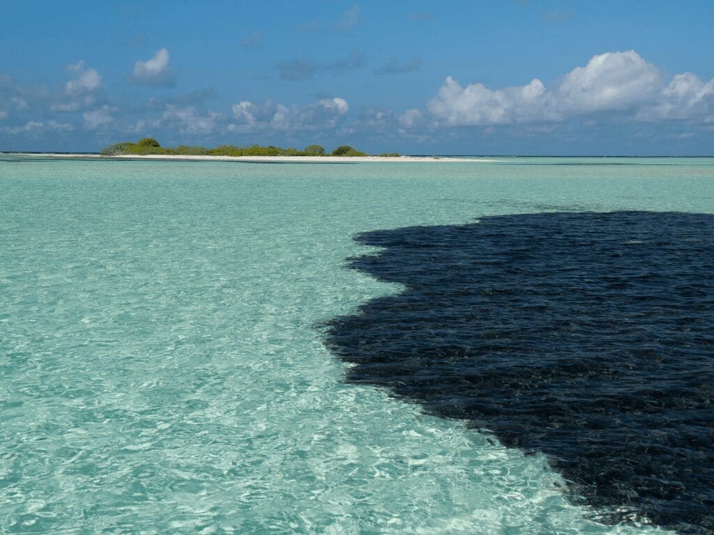 Qu'est-ce qu'un Dispersant de Marée Noire : Explorer les Solutions Innovantes d'AquaQuick