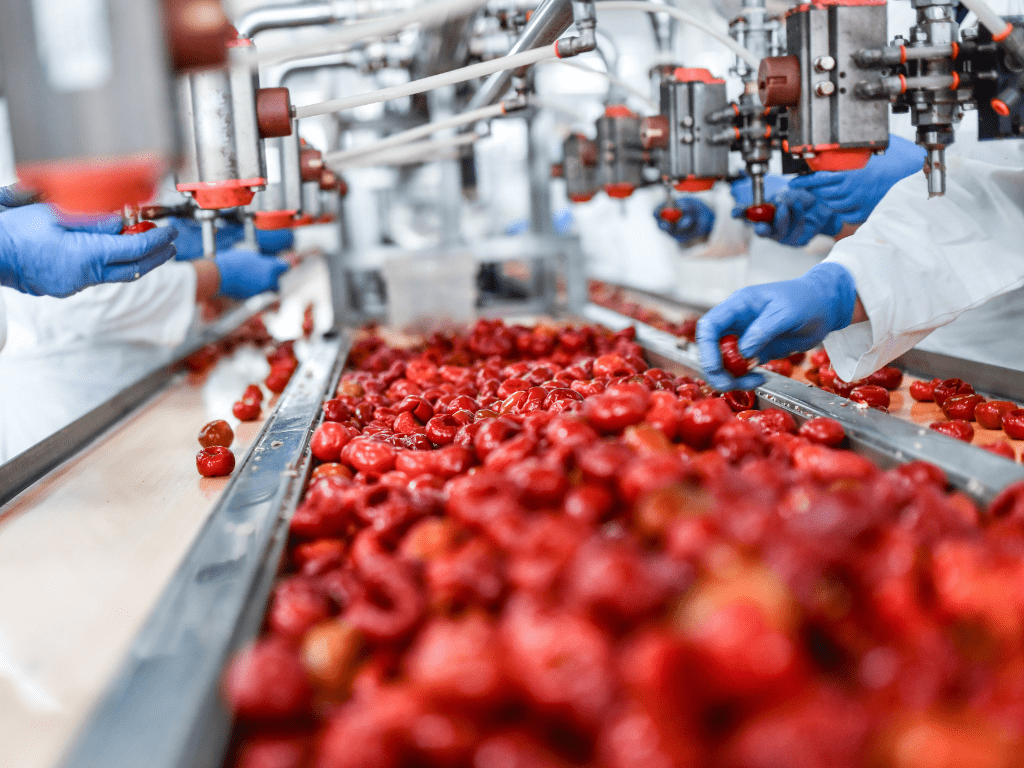 Comment les usines de transformation alimentaire peuvent maintenir l'hygiène avec des nettoyants non toxiques